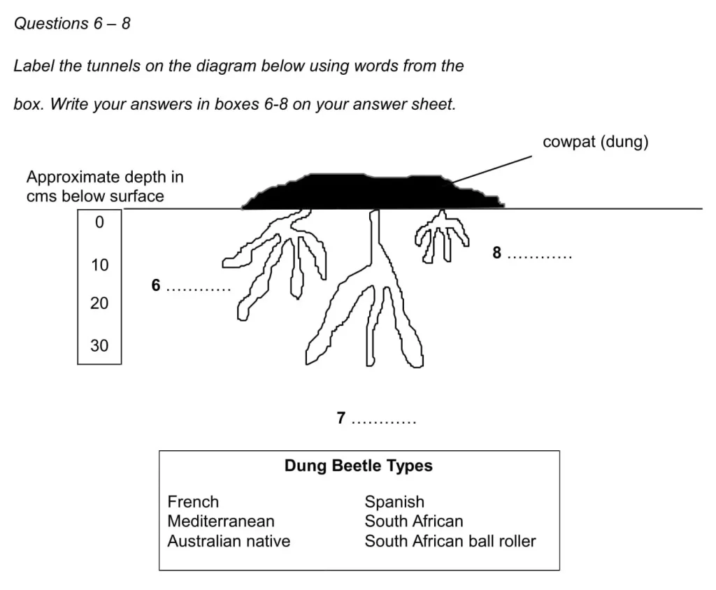 ielts reading question types diagram labelling