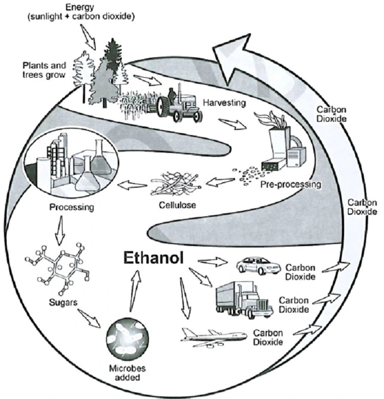 ethanol production ielts process